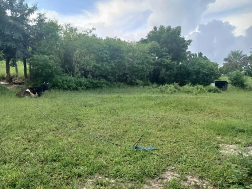 3 ACRES FOR SALE IN OL KALOU, KAIMBAGA.