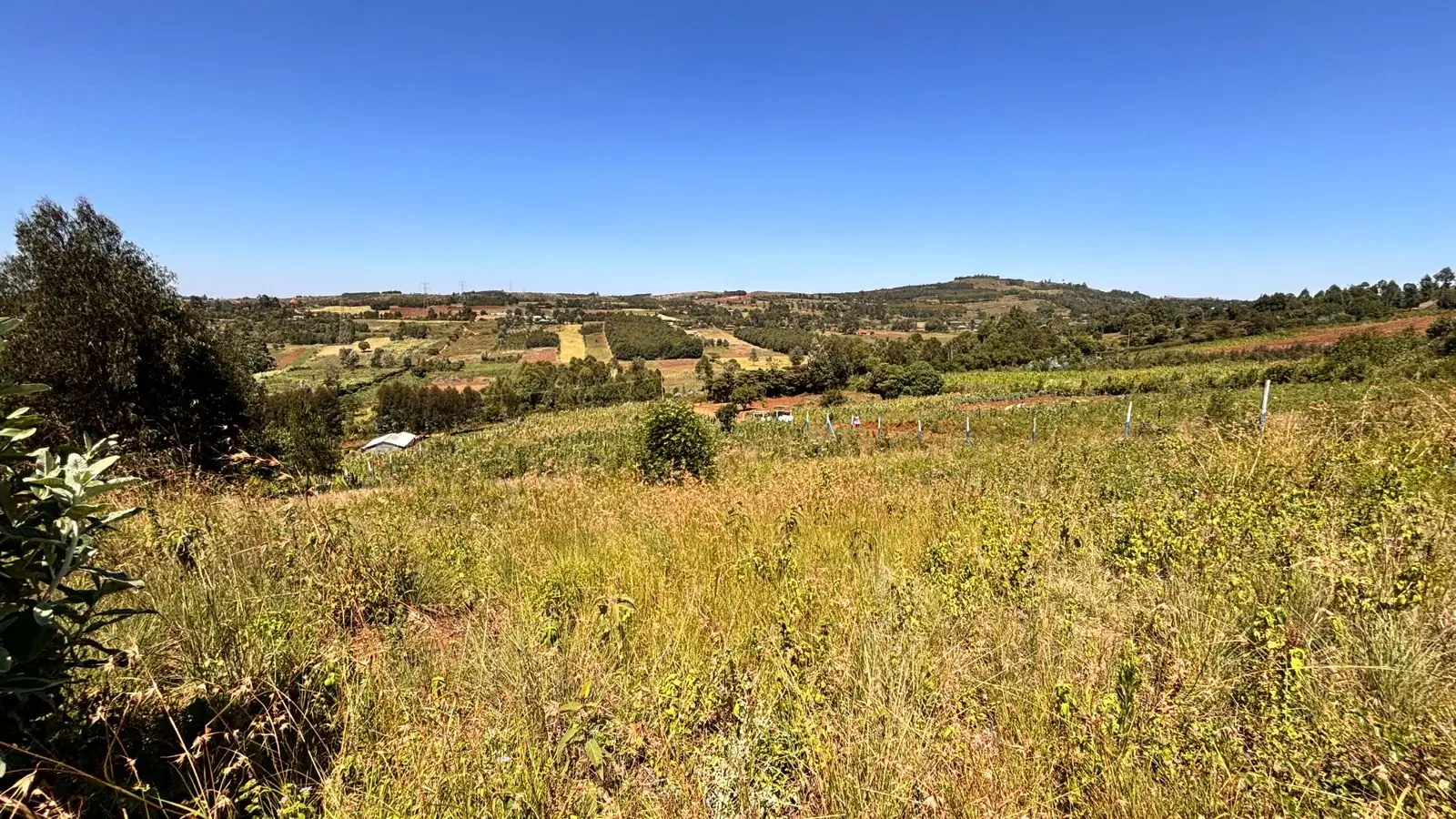 50 BY 100 PLOTS FOR SALE IN KIKUYU, THIGIO.