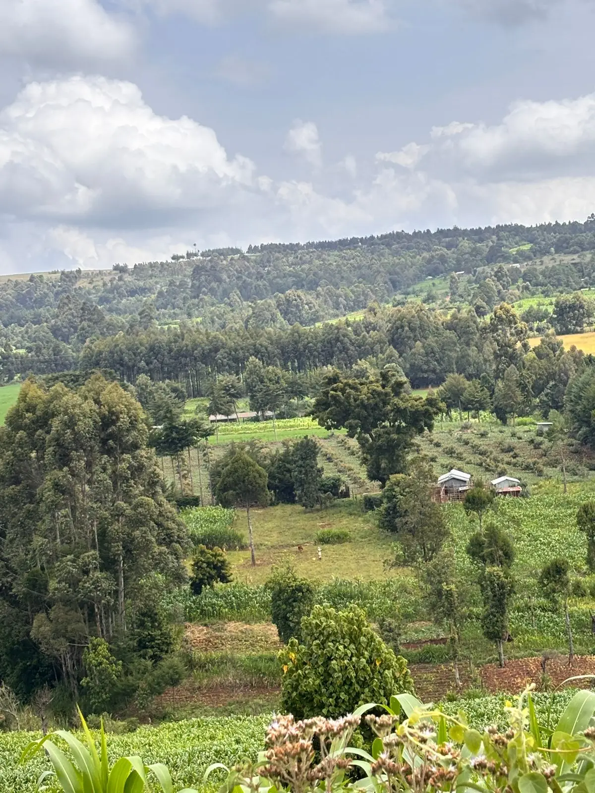 5 ACRES FOR SALE IN LAIKIPIA WEST, IGWAMITI SALAMA.
