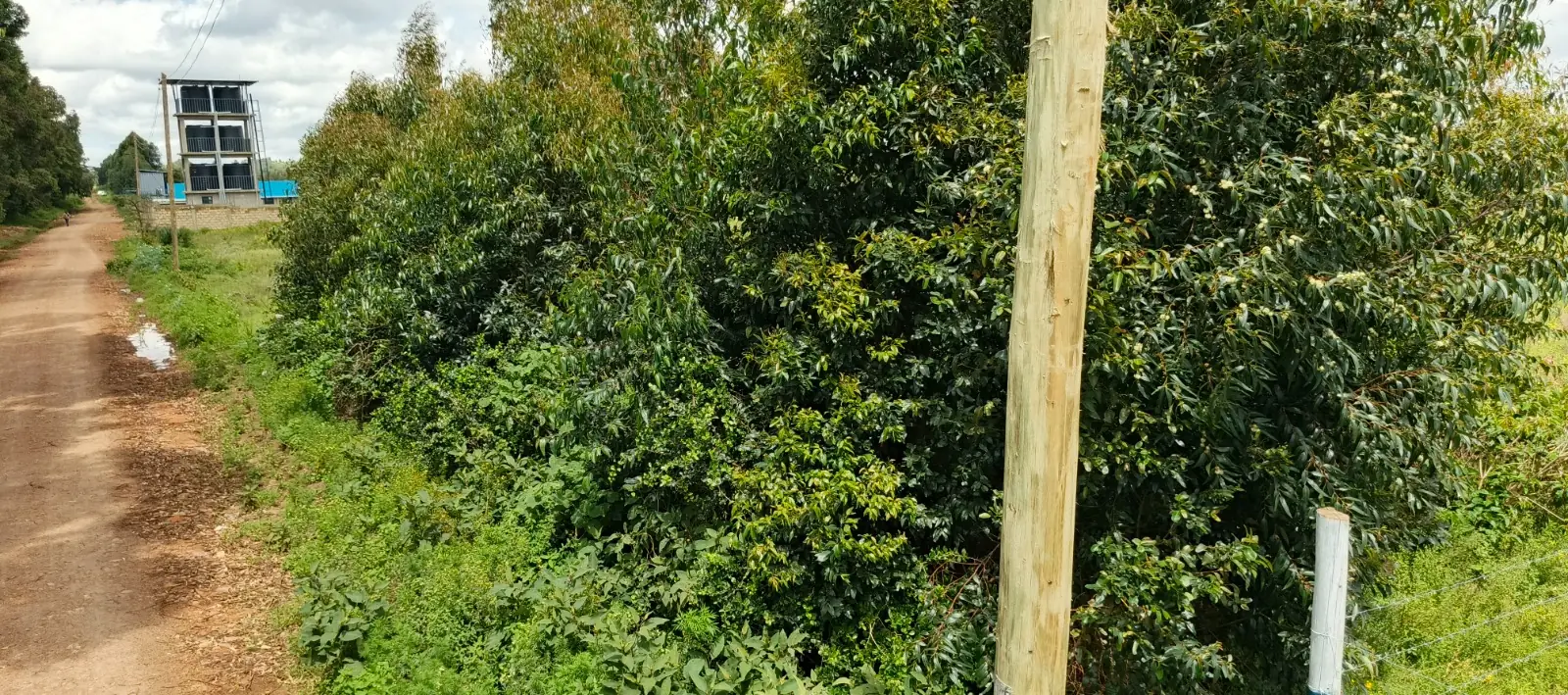 50 BY 100 PLOTS FOR SALE IN LIMURU, NDEIYA.