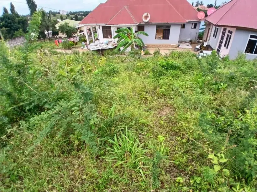 50 BY 100 PLOTS FOR SALE IN KANGEMA, KANYENYA-INI.