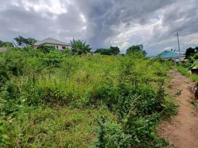 50 BY 100 PLOTS FOR SALE IN KANGEMA, KANYENYA-INI.