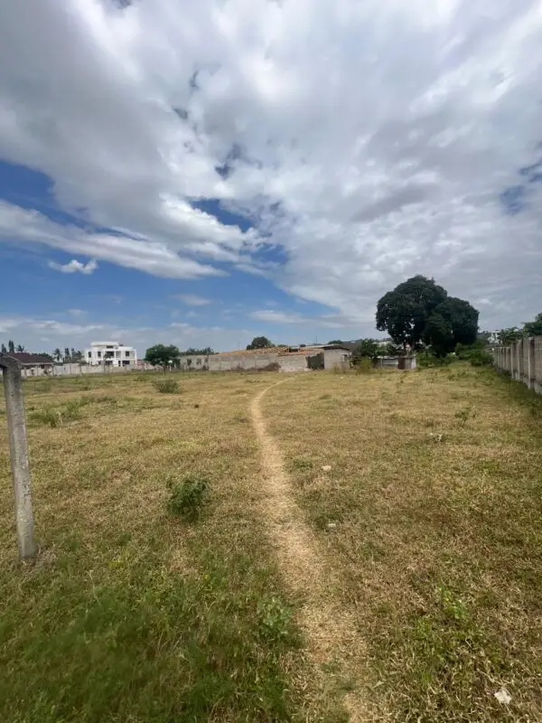 50 BY 100 PLOTS FOR SALE JUJA, WITEITHIE.