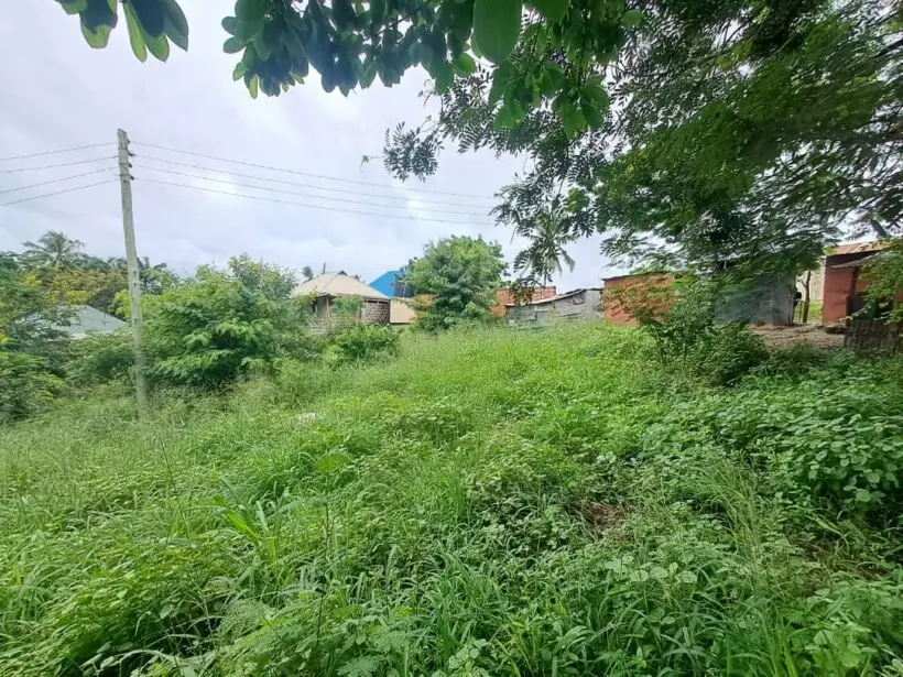 50 BY 100 PLOTS FOR SALE IN KIRIFI, MAGALINI.