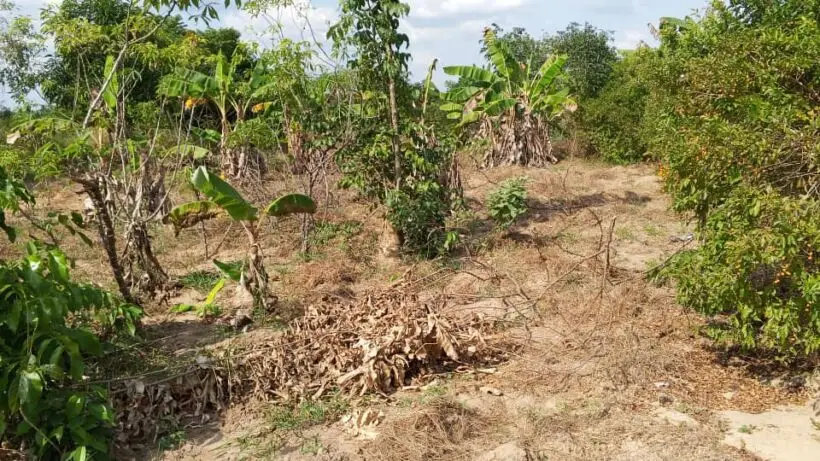 50 BY 100 PLOTS FOR SALE IN BAMBURI, CHAANI.