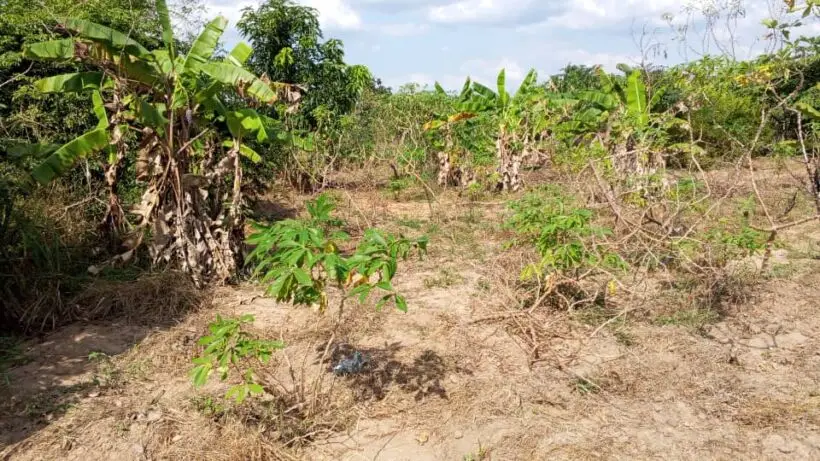 QUARTER ACRE FOR SALE IN MACHAKOS, MWALA.