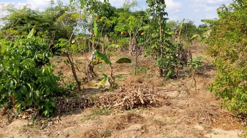 QUARTER ACRE FOR SALE IN MACHAKOS, MWALA.