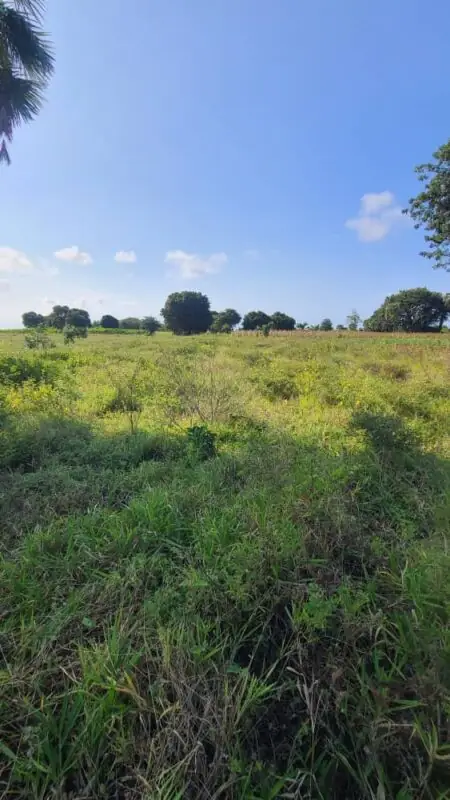 1 ACRE FOR SALE IN MASINGA, MASINGA CENTRAL.