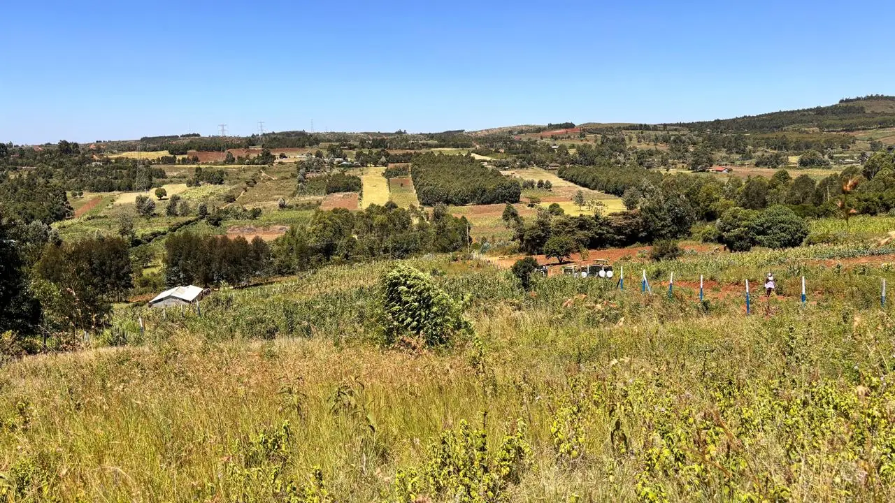 50 BY 100 PLOTS FOR SALE IN KIKUYU, THIGIO.