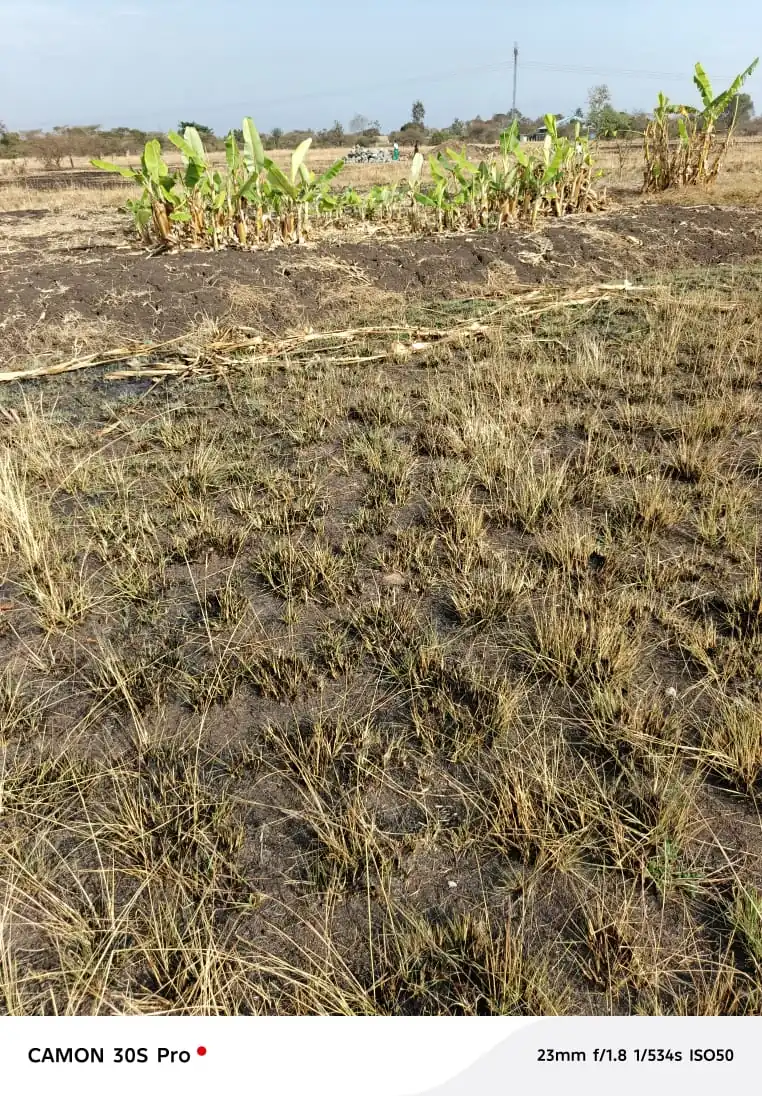 40 BY 80 PLOTS FOR SALE IN THIKA TOWN, GATWANYAGA.