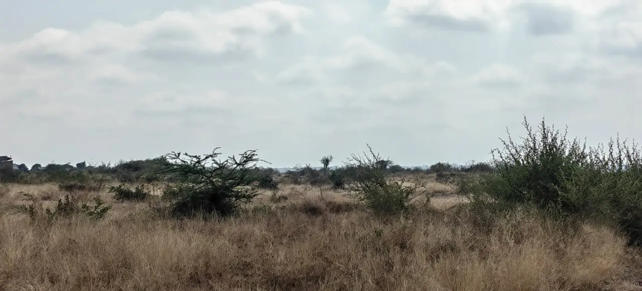 50 BY 100 PLOTS FOR SALE IN JUJA ARTHI.