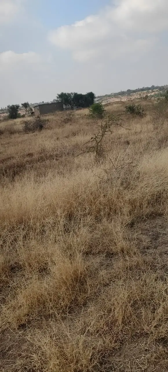 50 BY 100 PLOTS FOR SALE IN JUJA ARTHI.