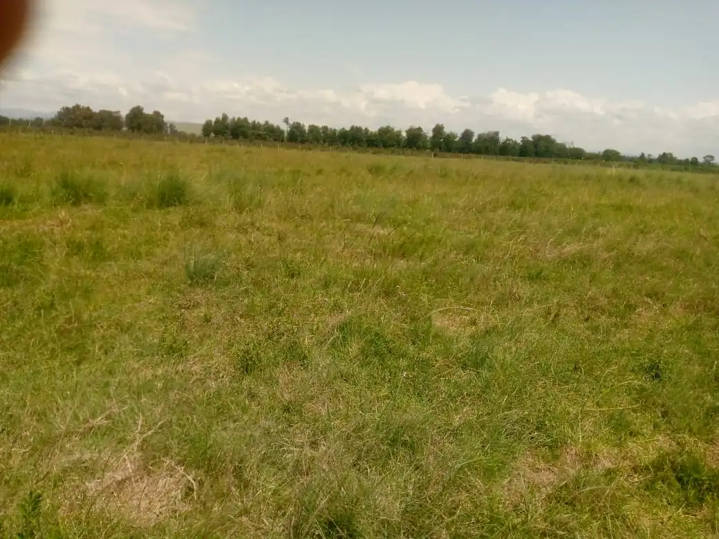 LAND FOR SALE I N MBEERE SOUTH, MAVURIA. (EMBU COUNTY)