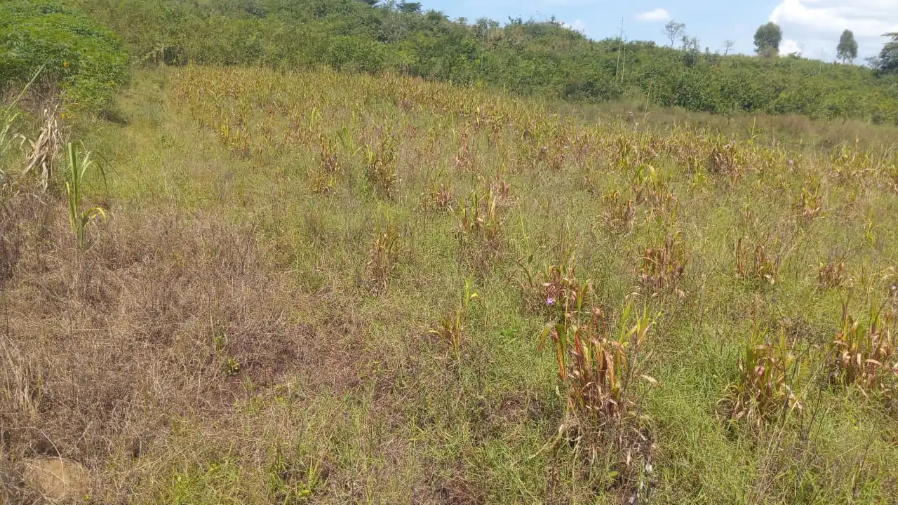 5 ACRES FOR SALE IN MASINGA, KIVAS. (MACHAKOS COUNTY)