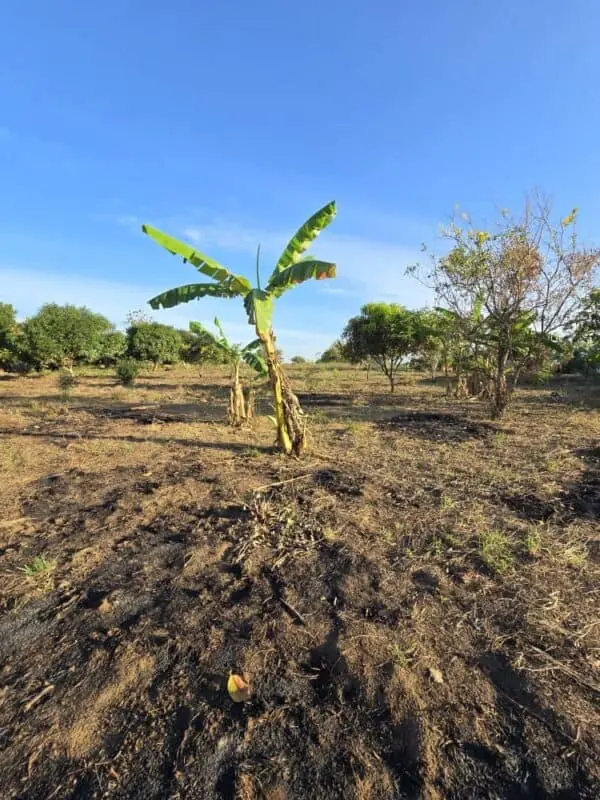 50 BY 100 PLOTS FOR SALE IN LAIKIPIA WEST, RUMURUTI.