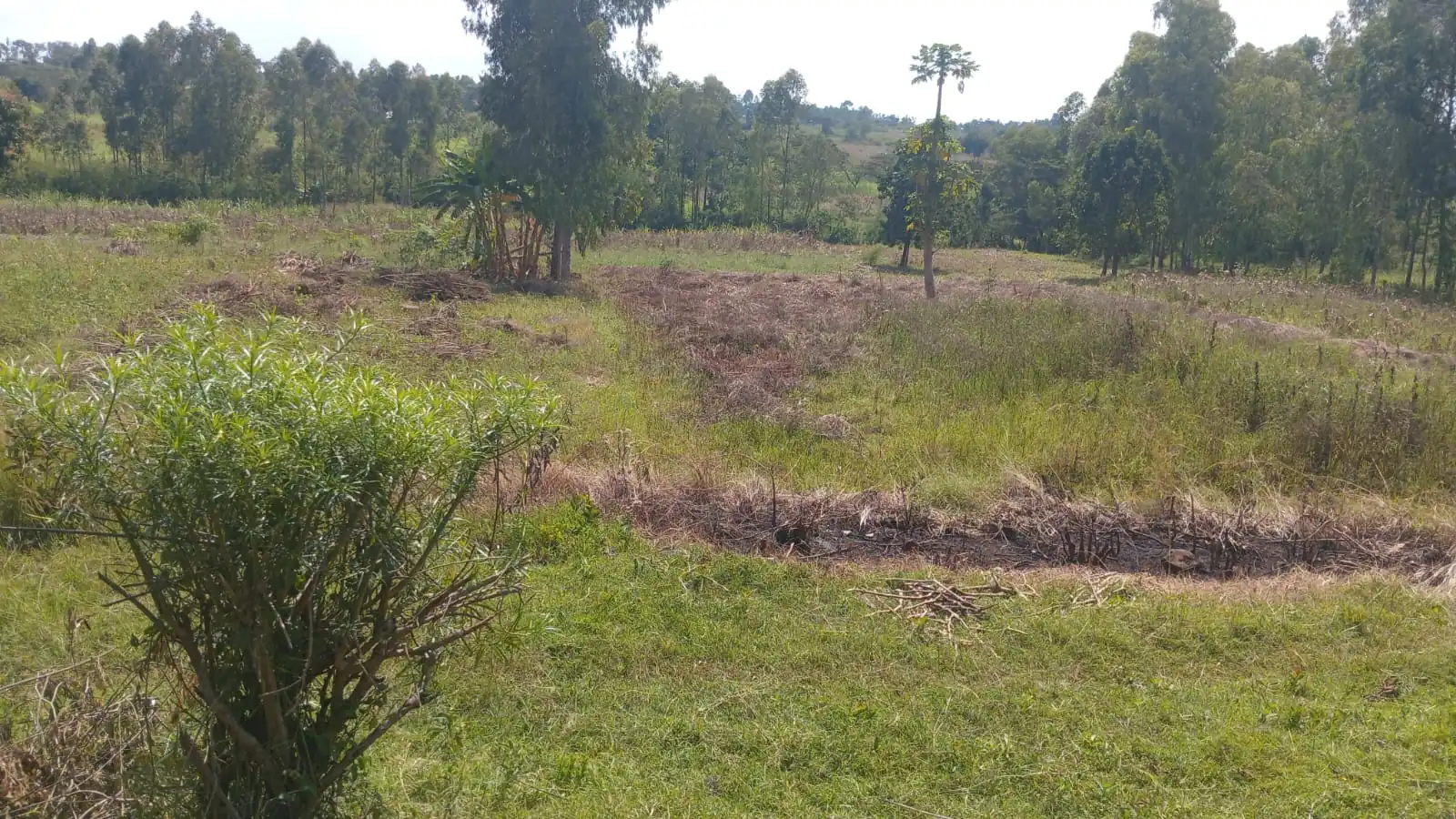 5 ACRES FOR SALE IN MASINGA, KIVAS. (MACHAKOS COUNTY)