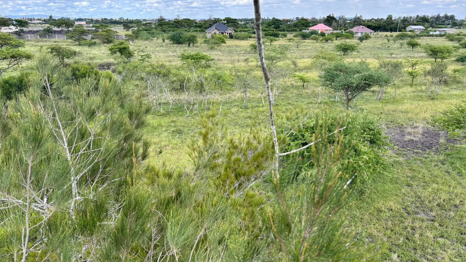 50 BY 100 PLOTS FOR SALE IN JUJA FARM.