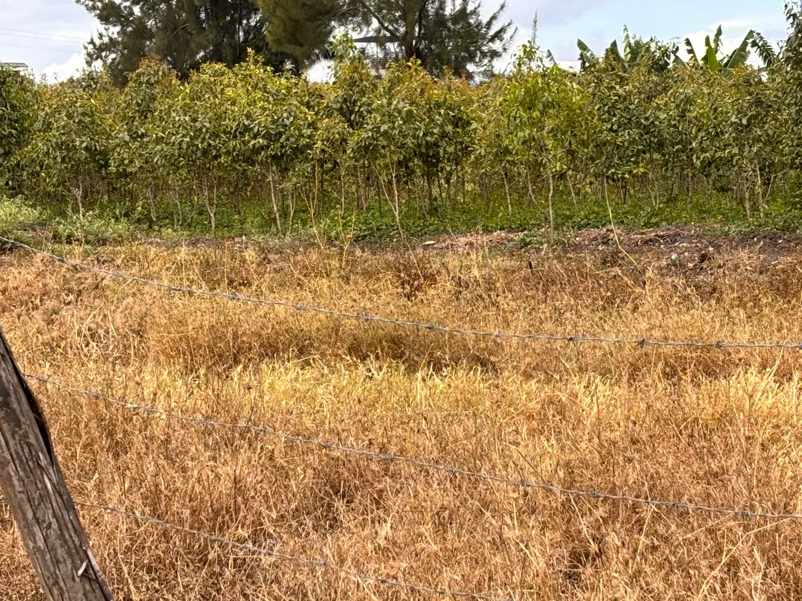 1 ACRE FOR SALE IN KASARANI, KAMULU.