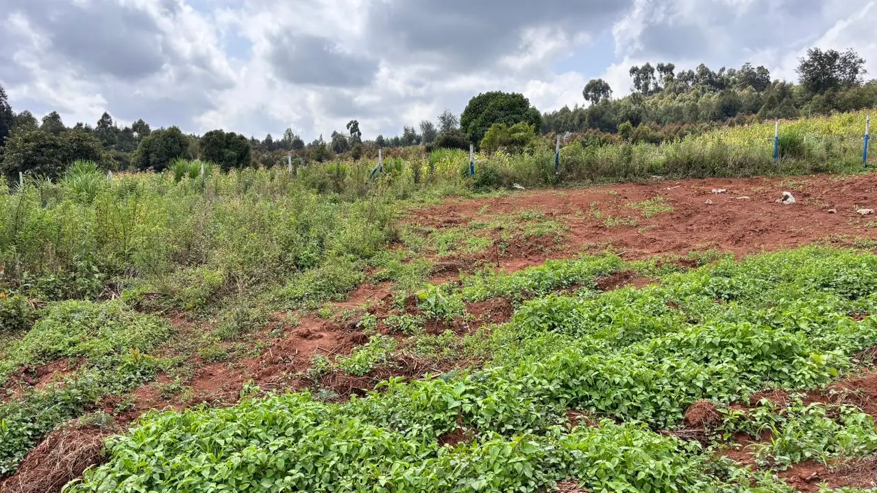 50 BY 100 PLOTS FOR SALE IN KIKUYU, THIGIO.