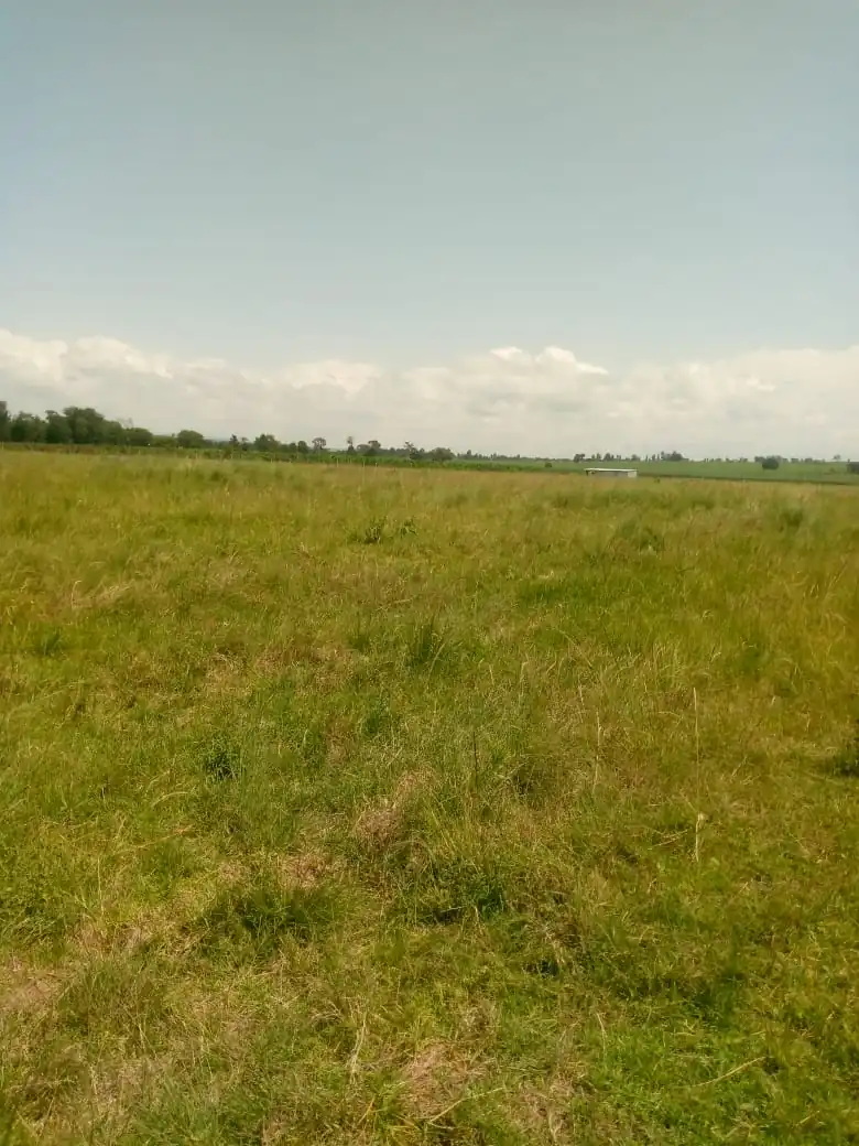 LAND FOR SALE I N MBEERE SOUTH, MAVURIA. (EMBU COUNTY)