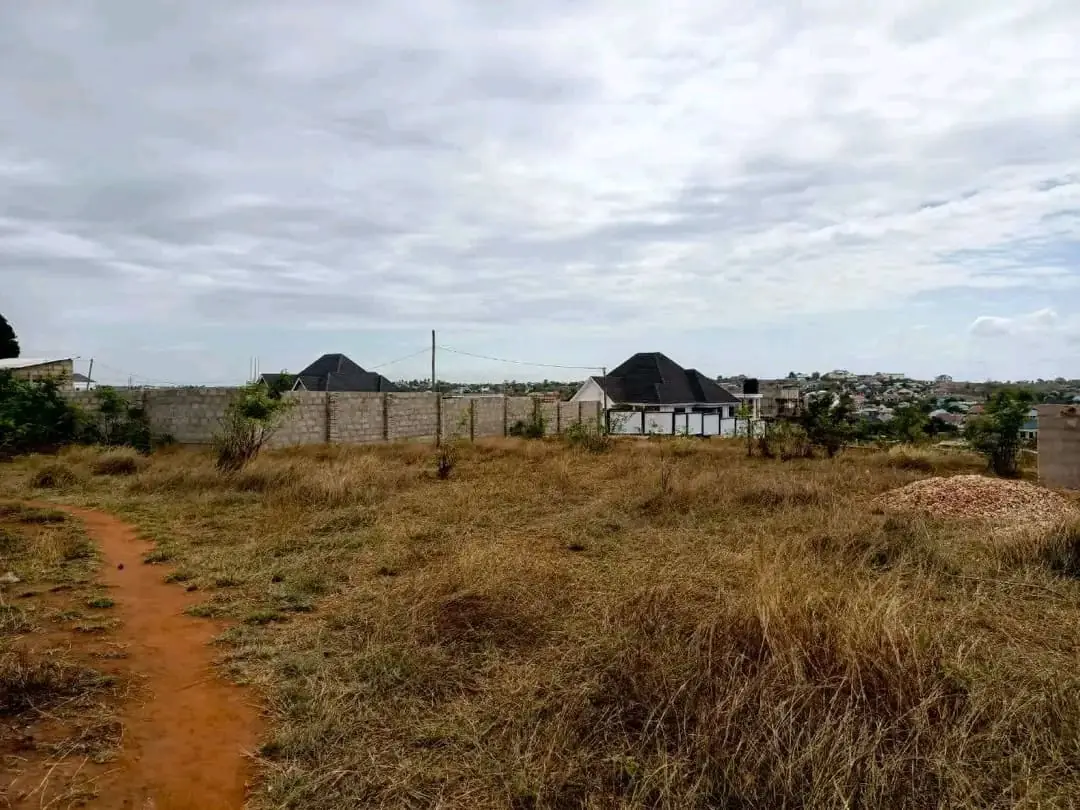 50 BY 100 PLOTS FOR SALE IN THIKA, NGOLIBA.