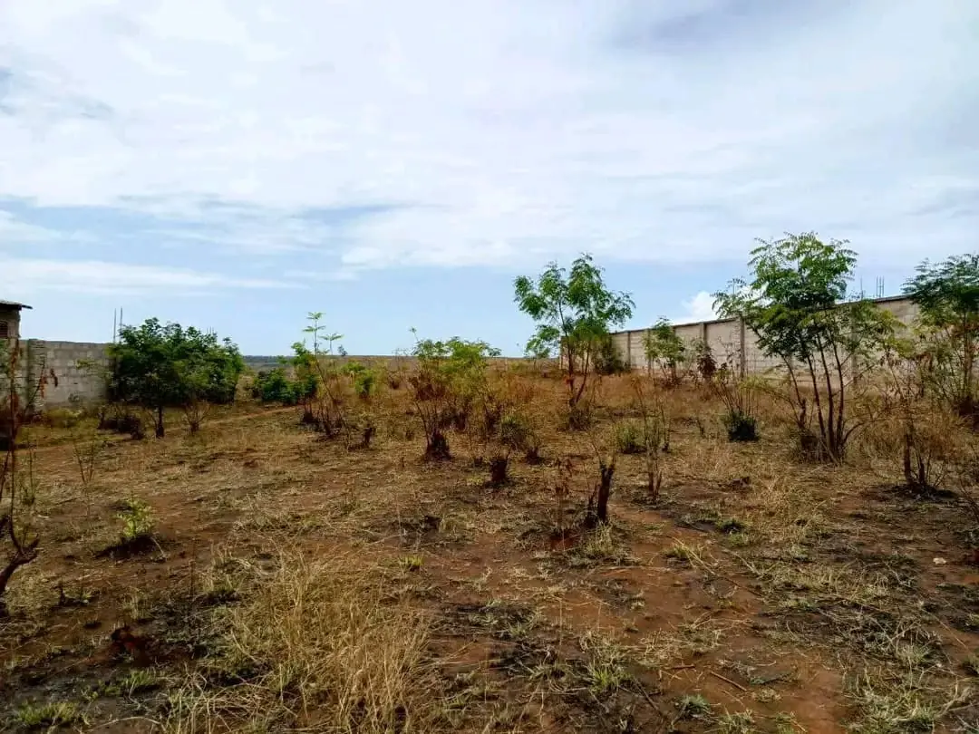 50 BY 100 PLOTS FOR SALE IN THIKA, NGOLIBA.