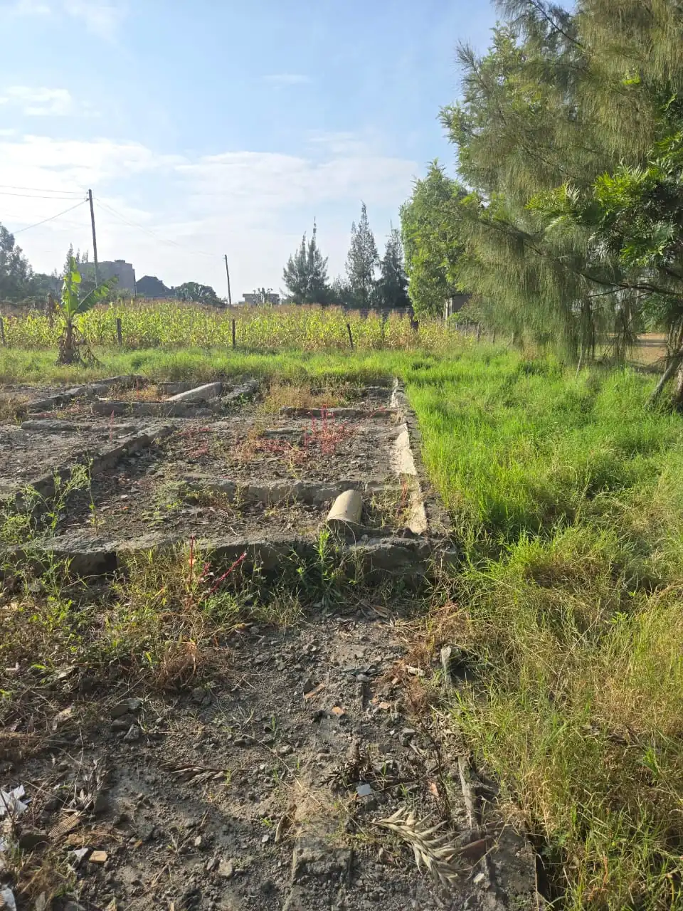 70 BY 100 PLOTS FOR SALE IN RUIRU, KAMAKIS GREEN VALLY ESTATE.