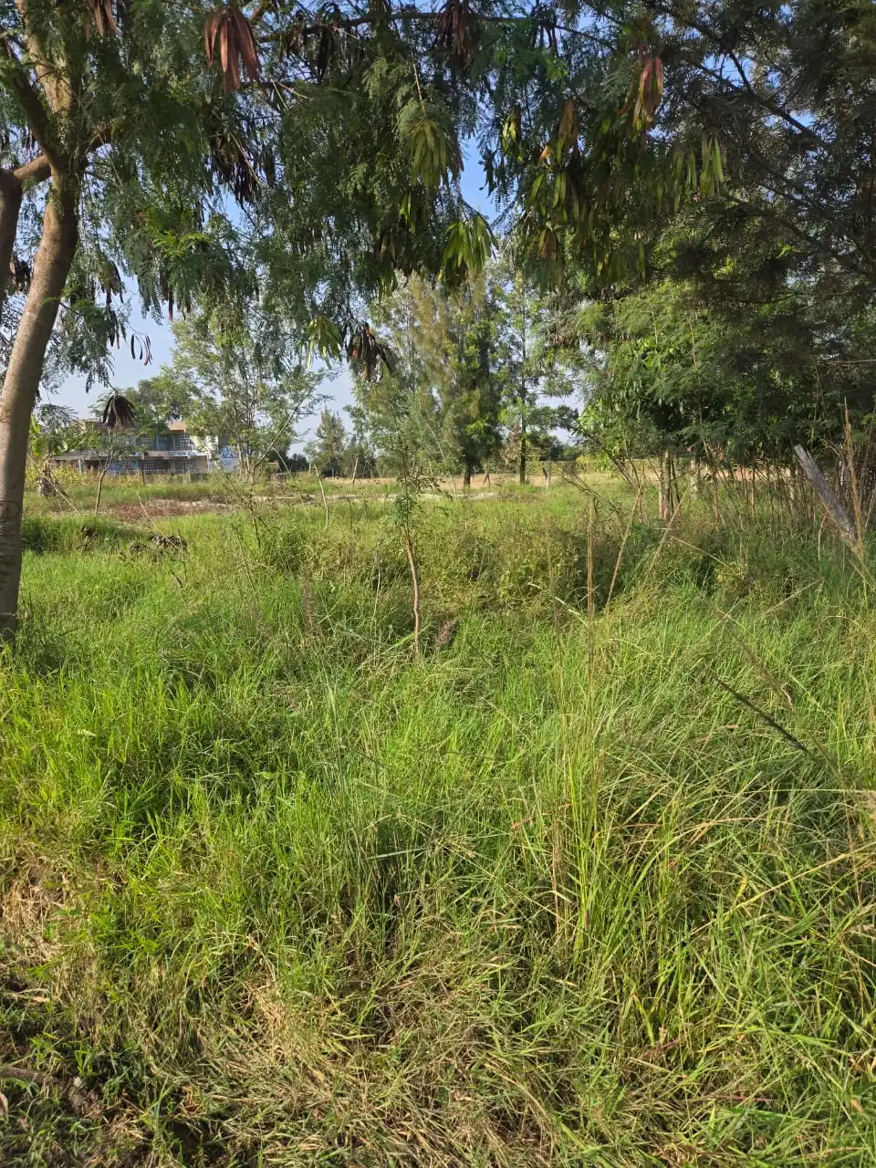 70 BY 100 PLOTS FOR SALE IN RUIRU, KAMAKIS GREEN VALLY ESTATE.
