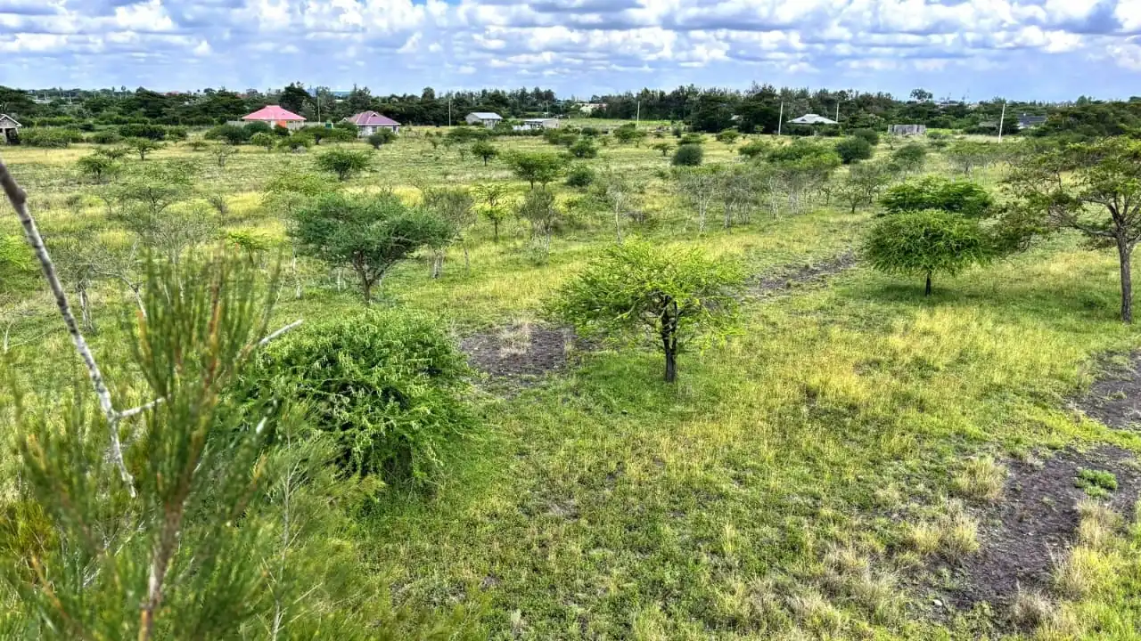 50 BY 100 PLOTS FOR SALE IN JUJA FARM.