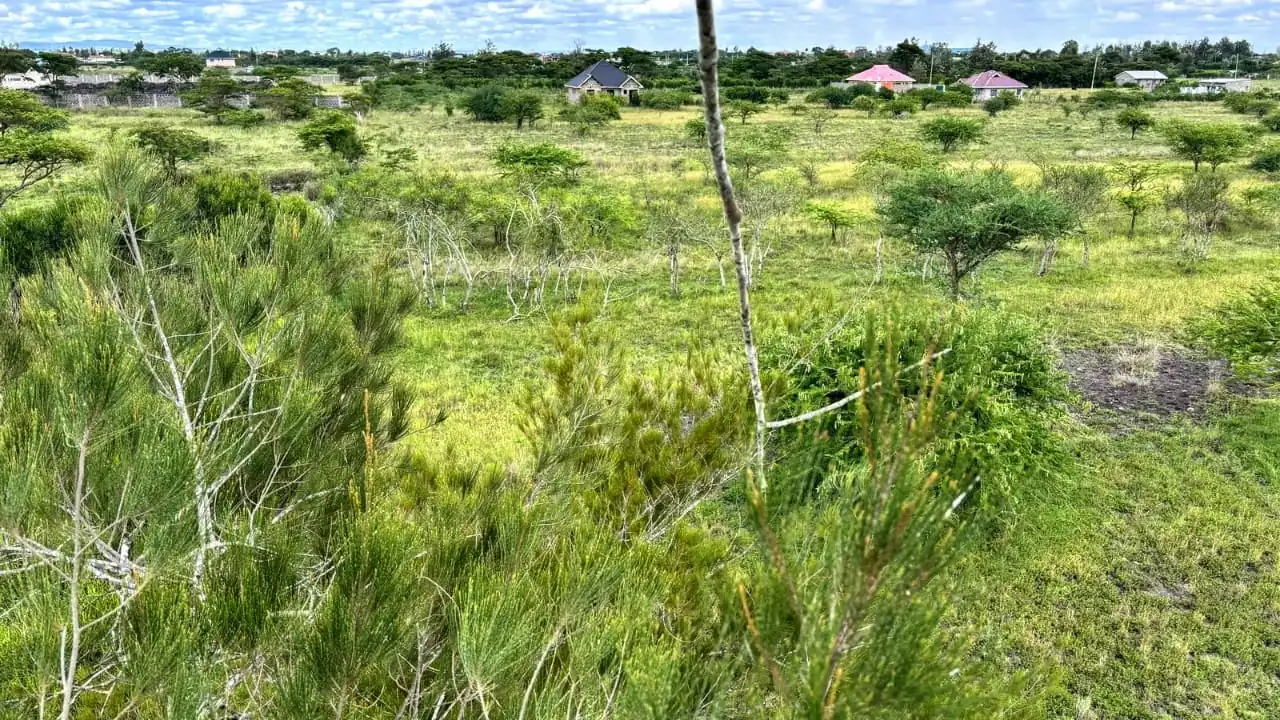 50 BY 100 PLOTS FOR SALE IN JUJA FARM.