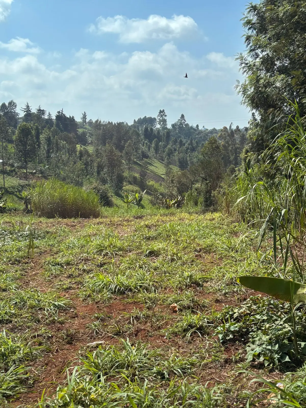 2 ACRES FOR SALE IN NDIA, MUKURE (KERINYAGA COUNTY)