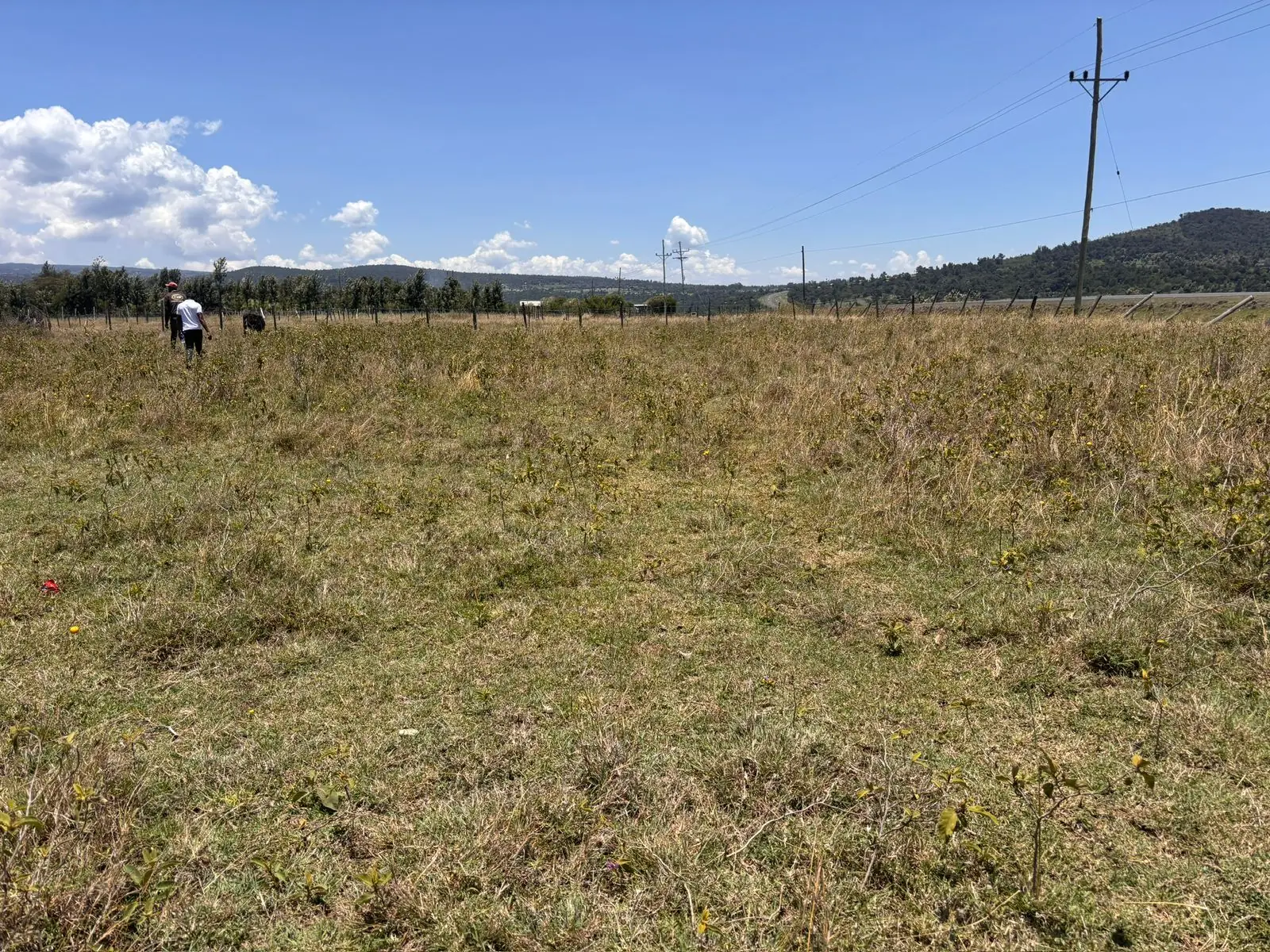 50 BY 100 PLOTS FOR SALE IN KIENI, MWEGA (NYERI COUNTY)