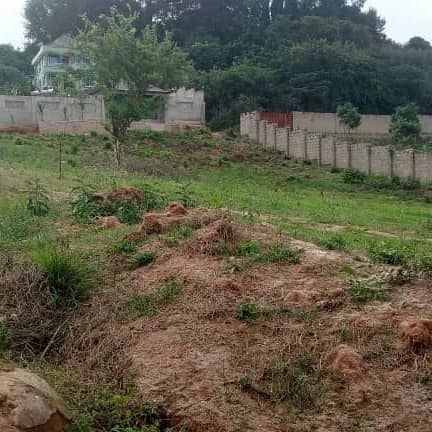 Plot for sale in Bomet