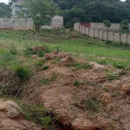 Plot for sale in Bomet