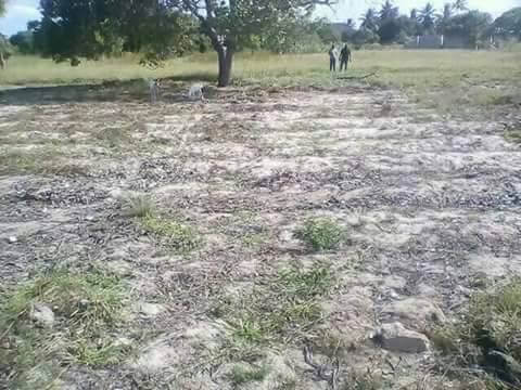 Plot for sale in Kilifi