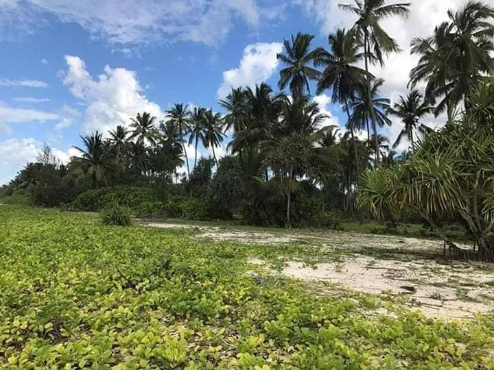 Beach plot for sale in Mombasa