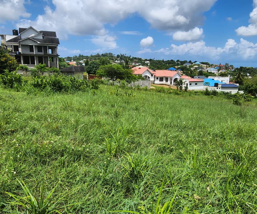 PLOT FOR SALE IN KIAMBU